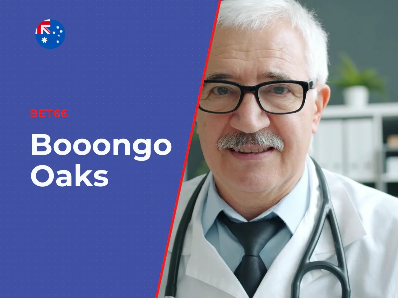 3. Provider profile Booongo 3 Oaks