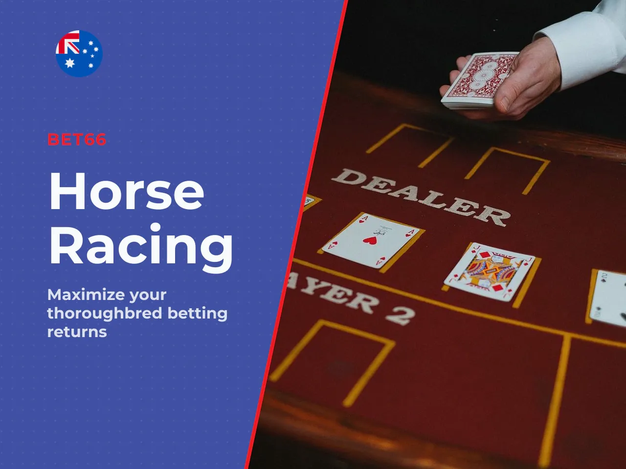 What racing punters may find useful
